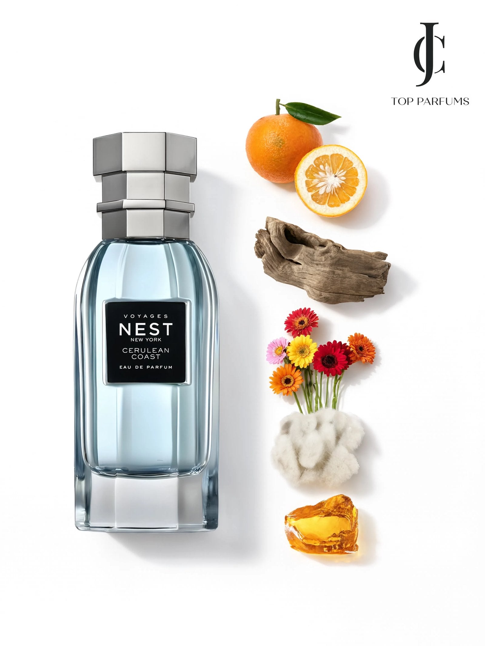 Cerulean Coast — Nest