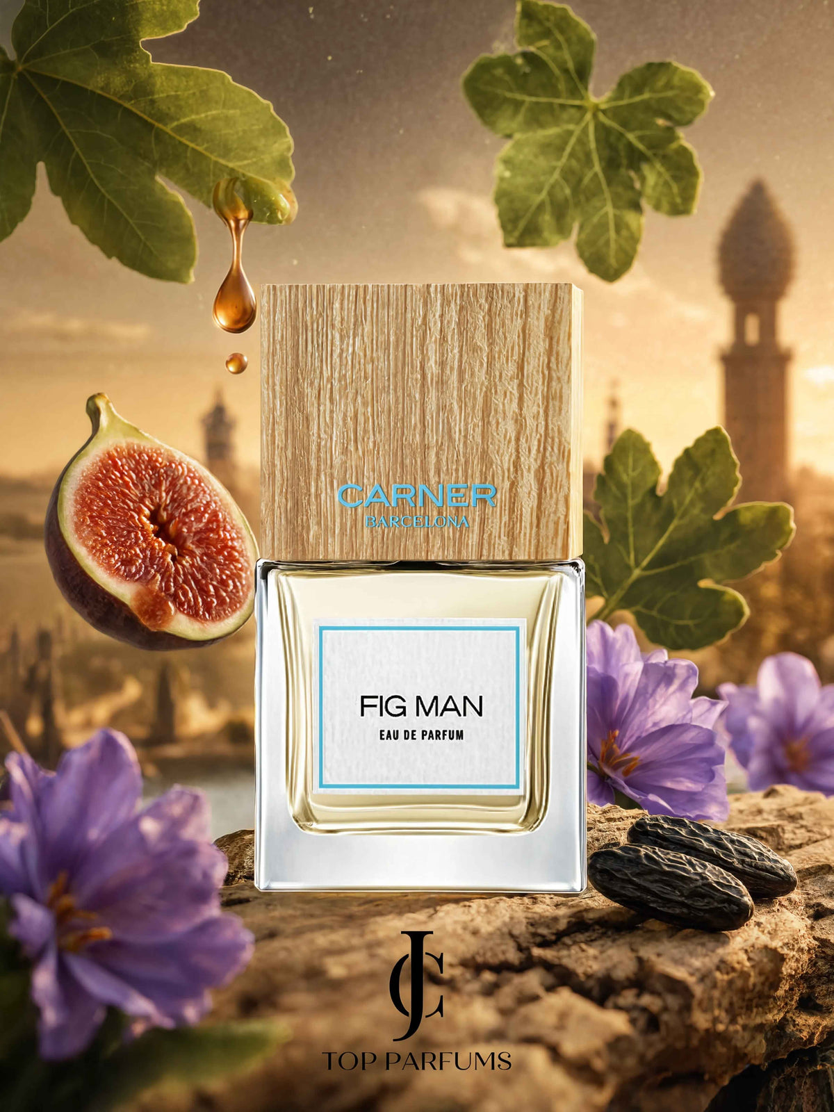 Carner Barcelona — Fig Man