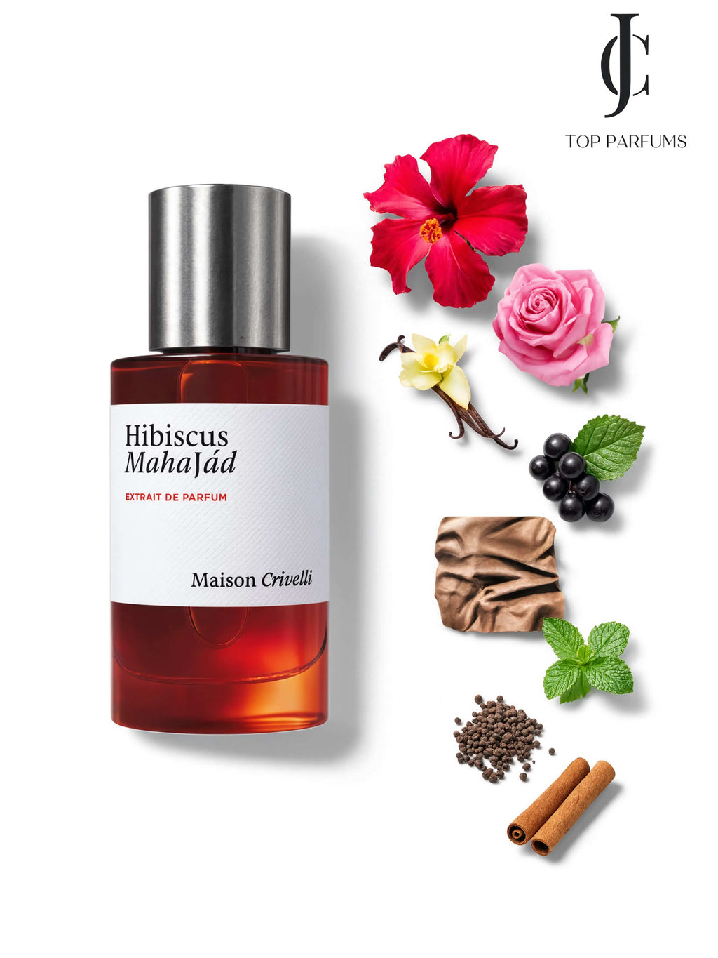 Hibiscus Mahajád — Maison Crivelli