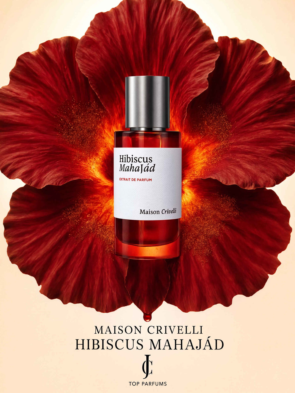 Hibiscus Mahajád — Maison Crivelli