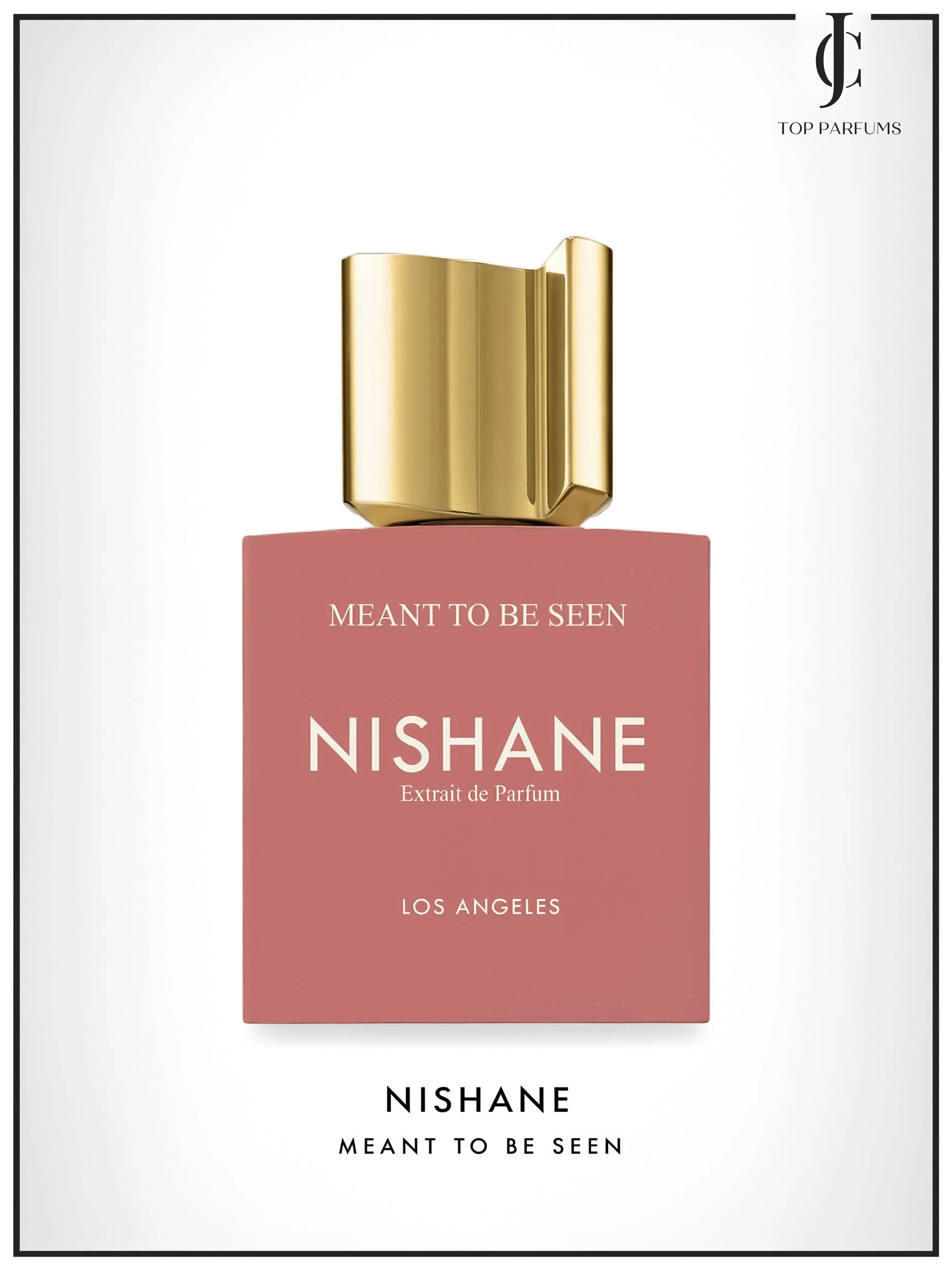Meant To Be Seen — Nishane