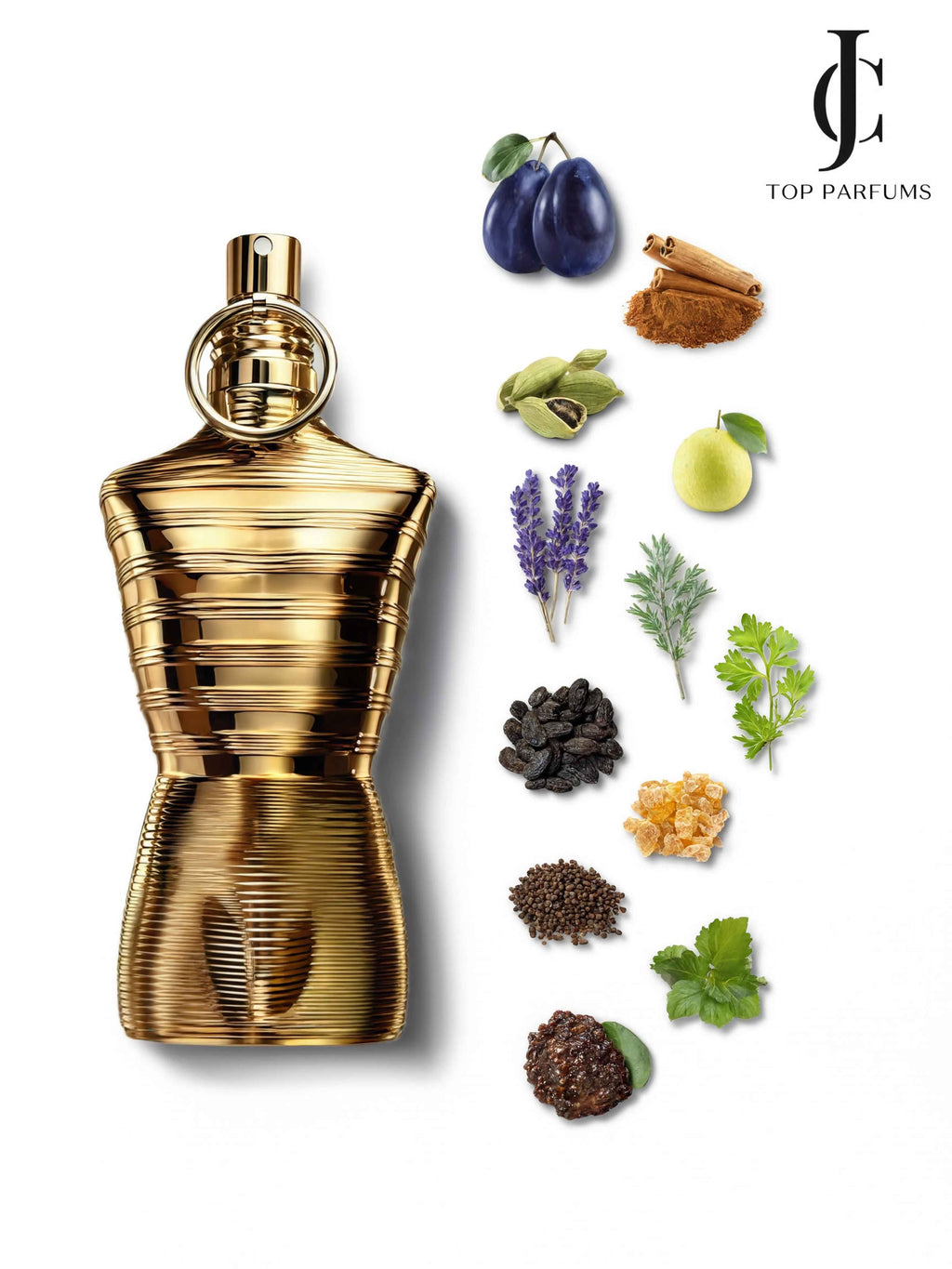 Le Male Elixir Absolu Parfum Intense — Jean Paul Gaultier