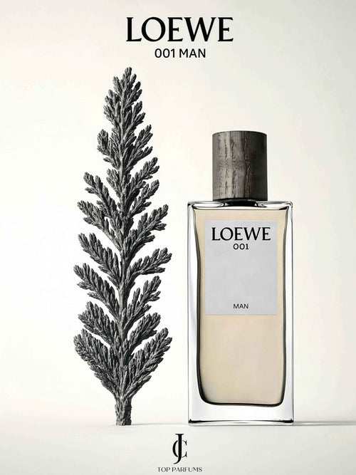 001 Man — Loewe