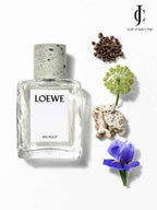 Loewe — Iris Root
