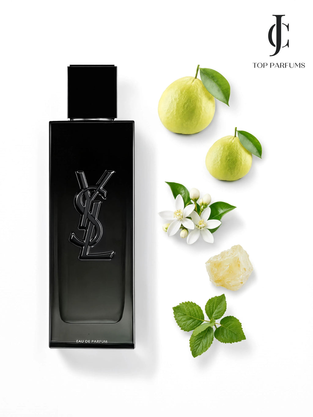 MYSLF — YSL