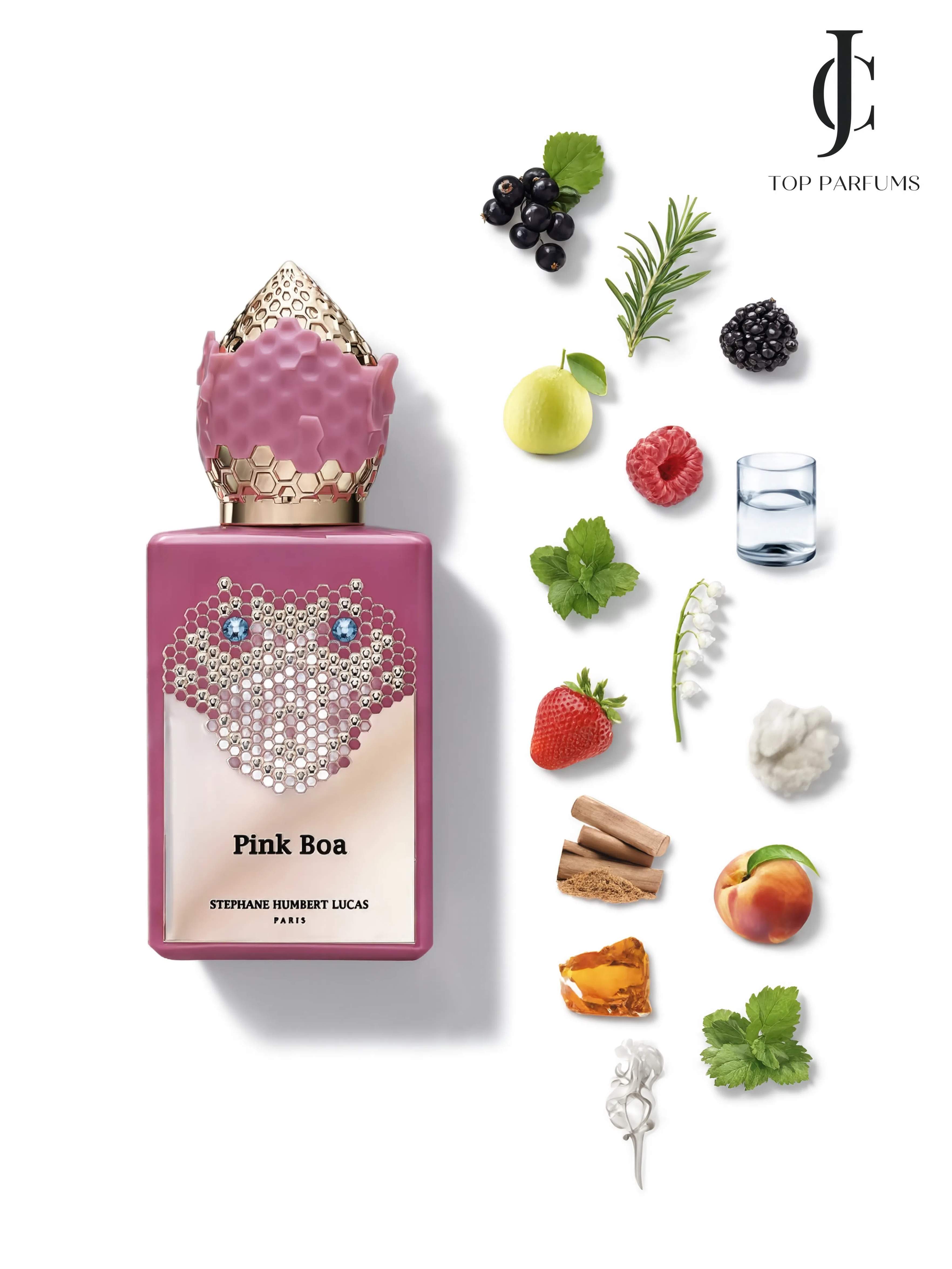 Pink Boa — Stephane Humbert Lucas