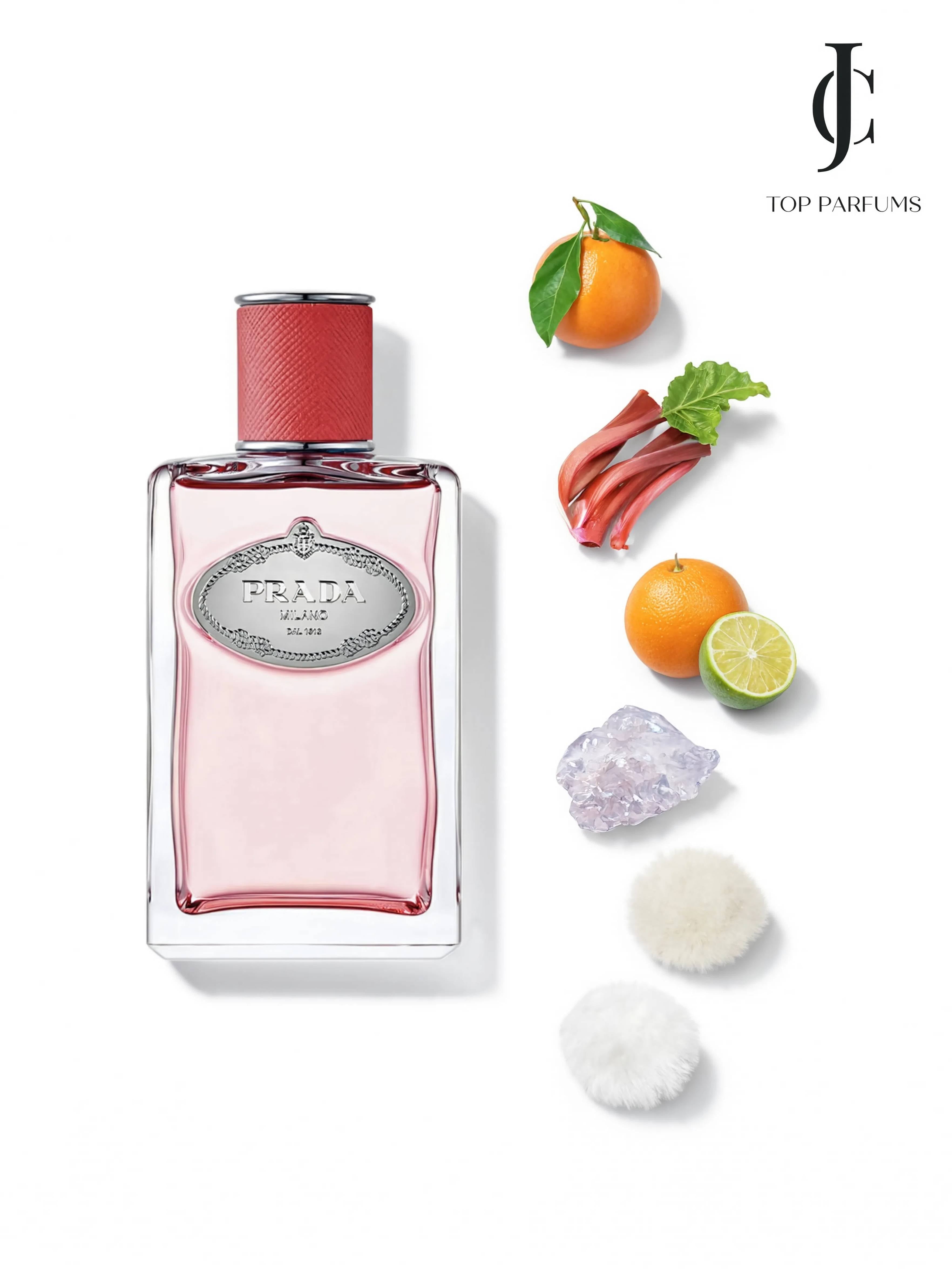 Infusion de Rhubarbe — Prada