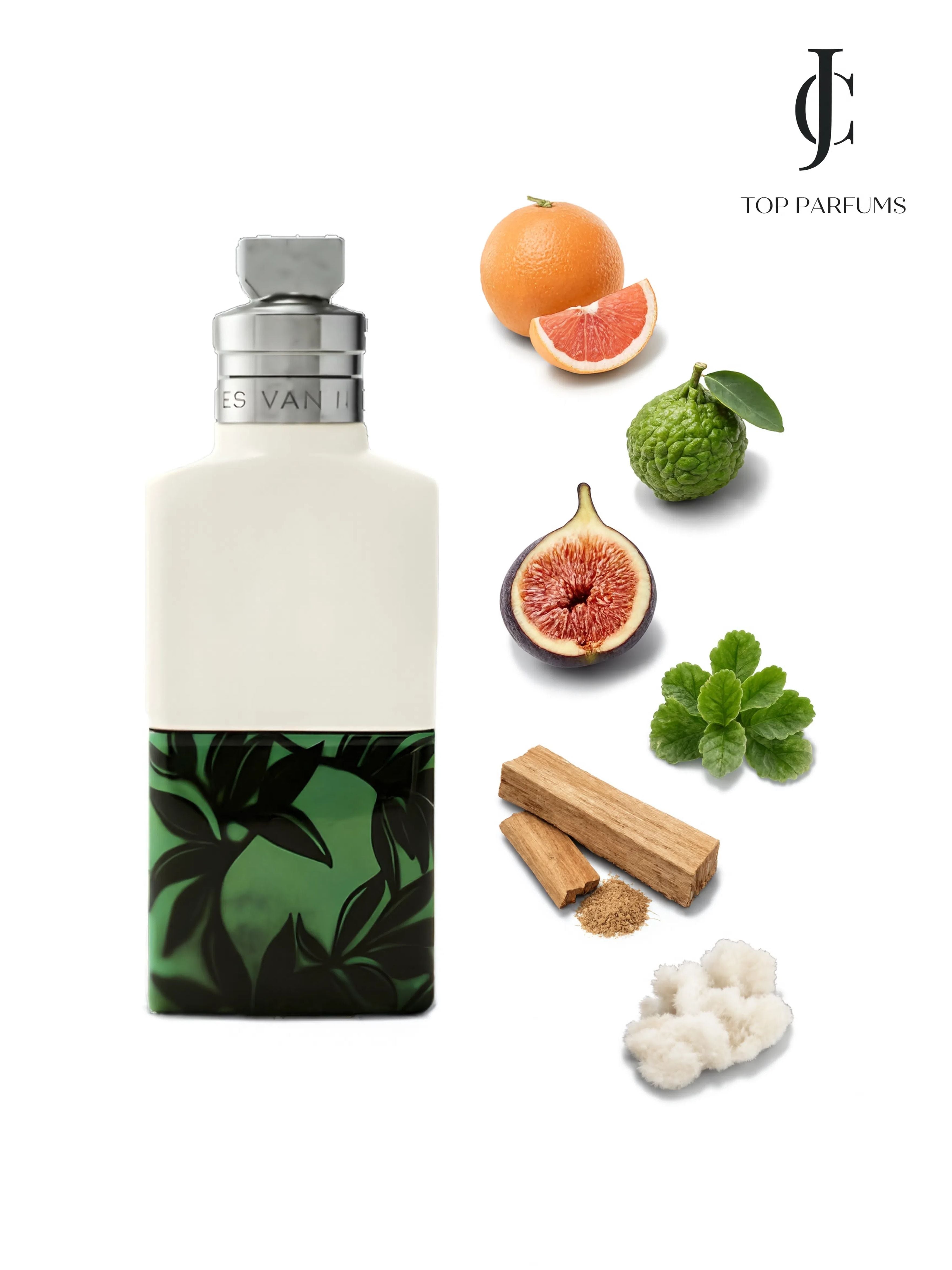 Santal Greenery — Dries Van Noten