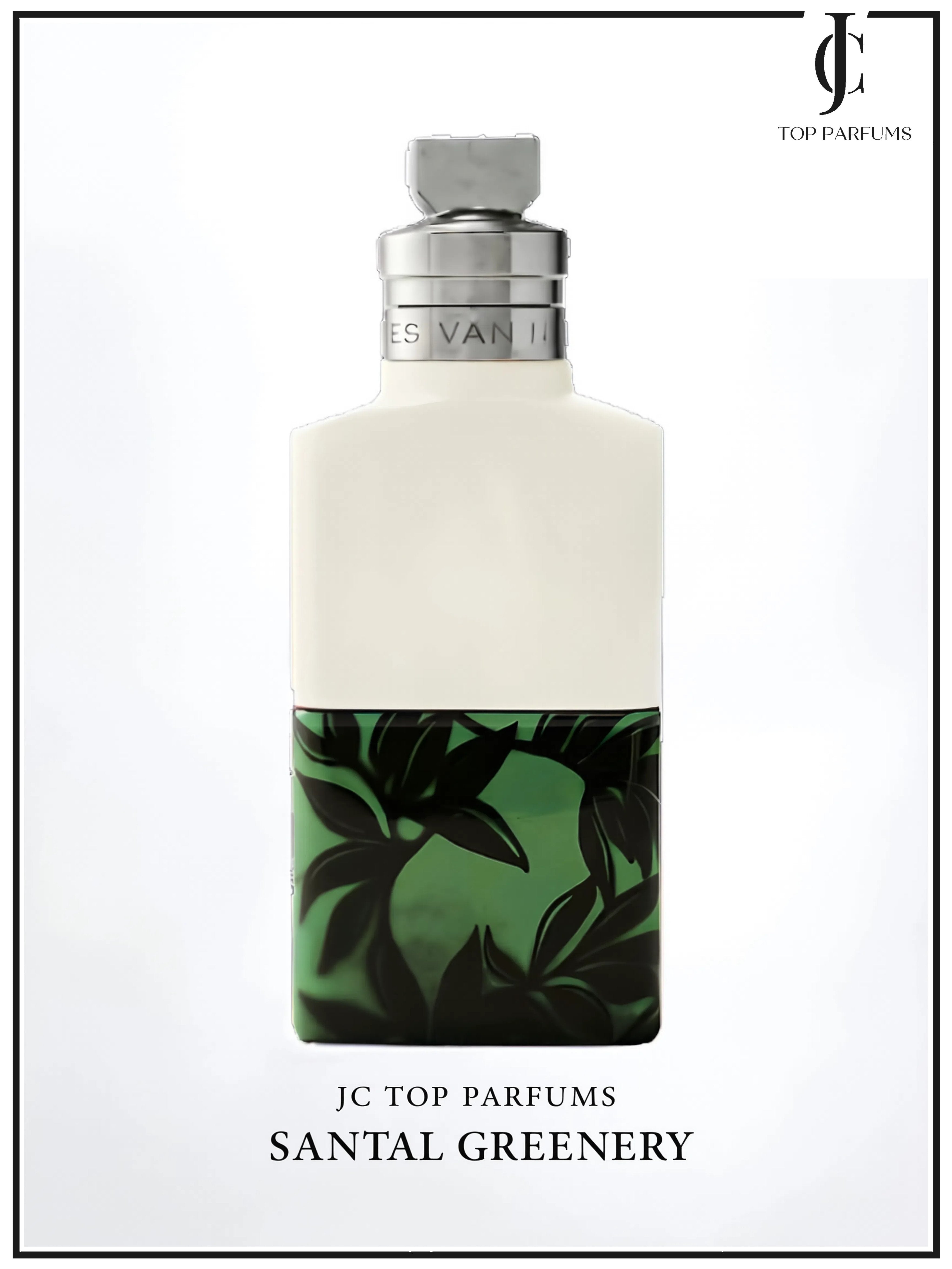 Santal Greenery — Dries Van Noten