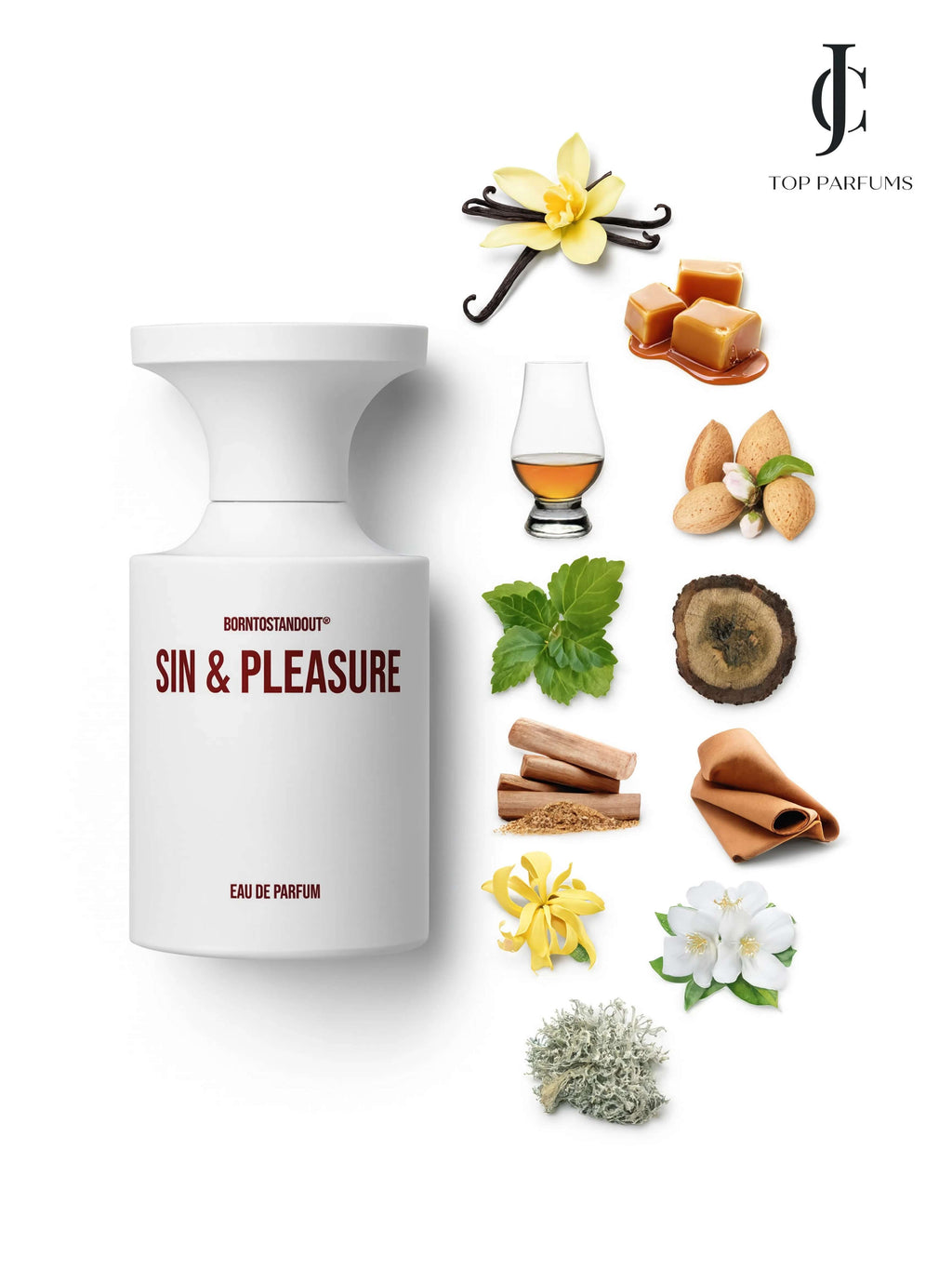 Sin & Pleasure — Born To Stand Out